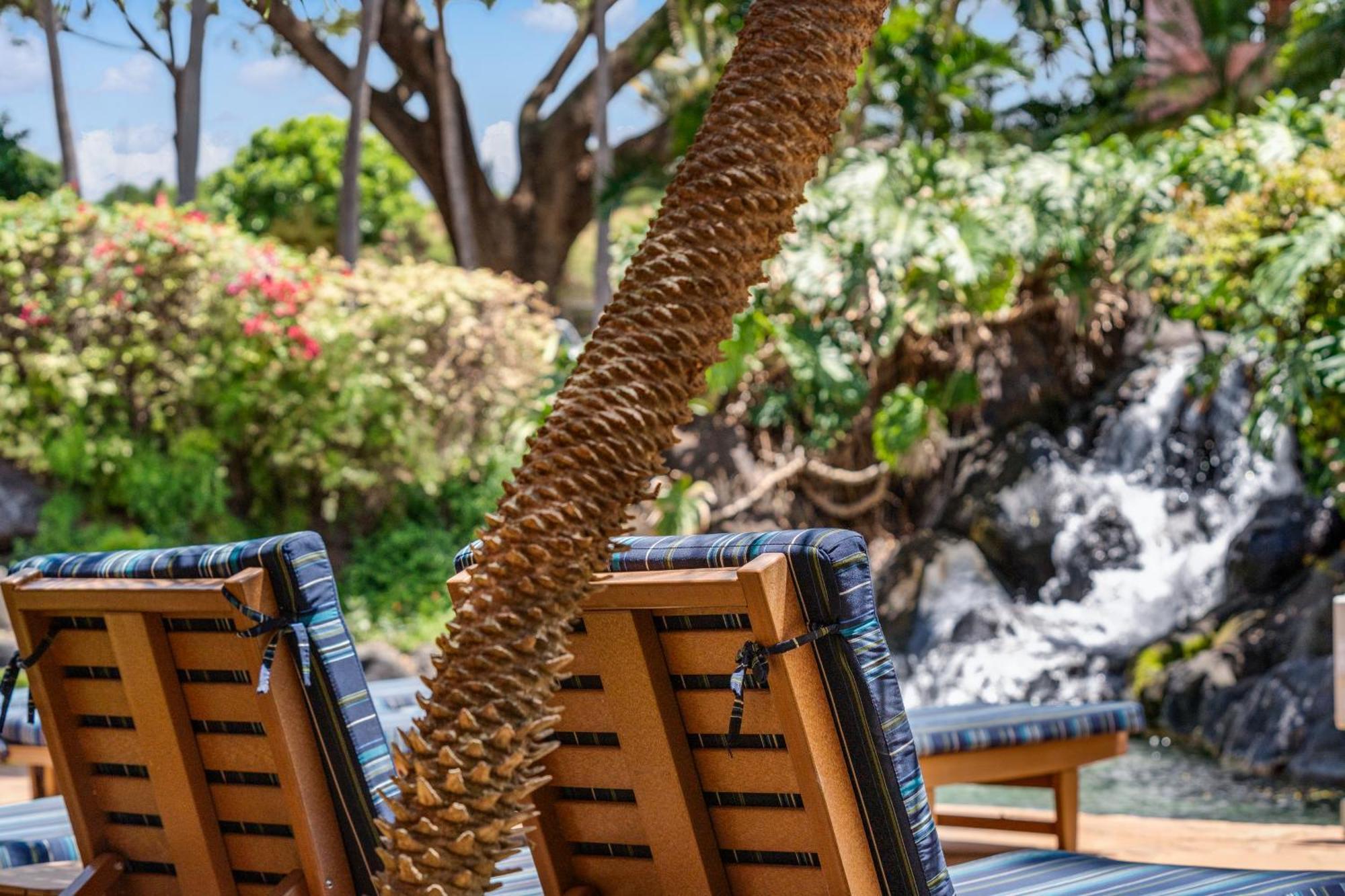 Resort Kahana Falls