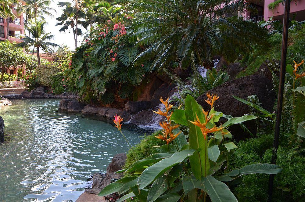 Station touristique Kahana Falls